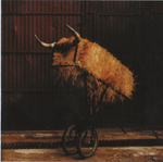 Mew / Frengers (RU)(CD)