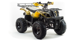 Квадроцикл MOTOLAND 150 Maverick