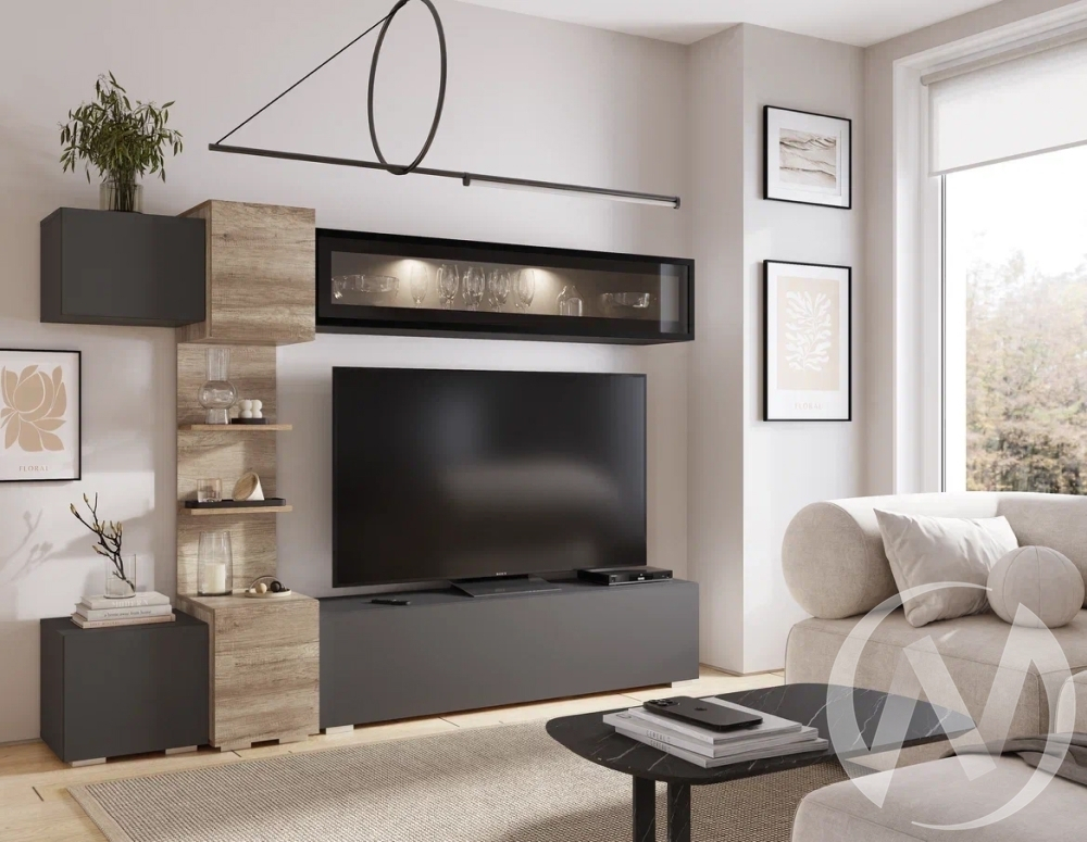 Гостиная Рейн ГС-01 (графит/дуб каньон)