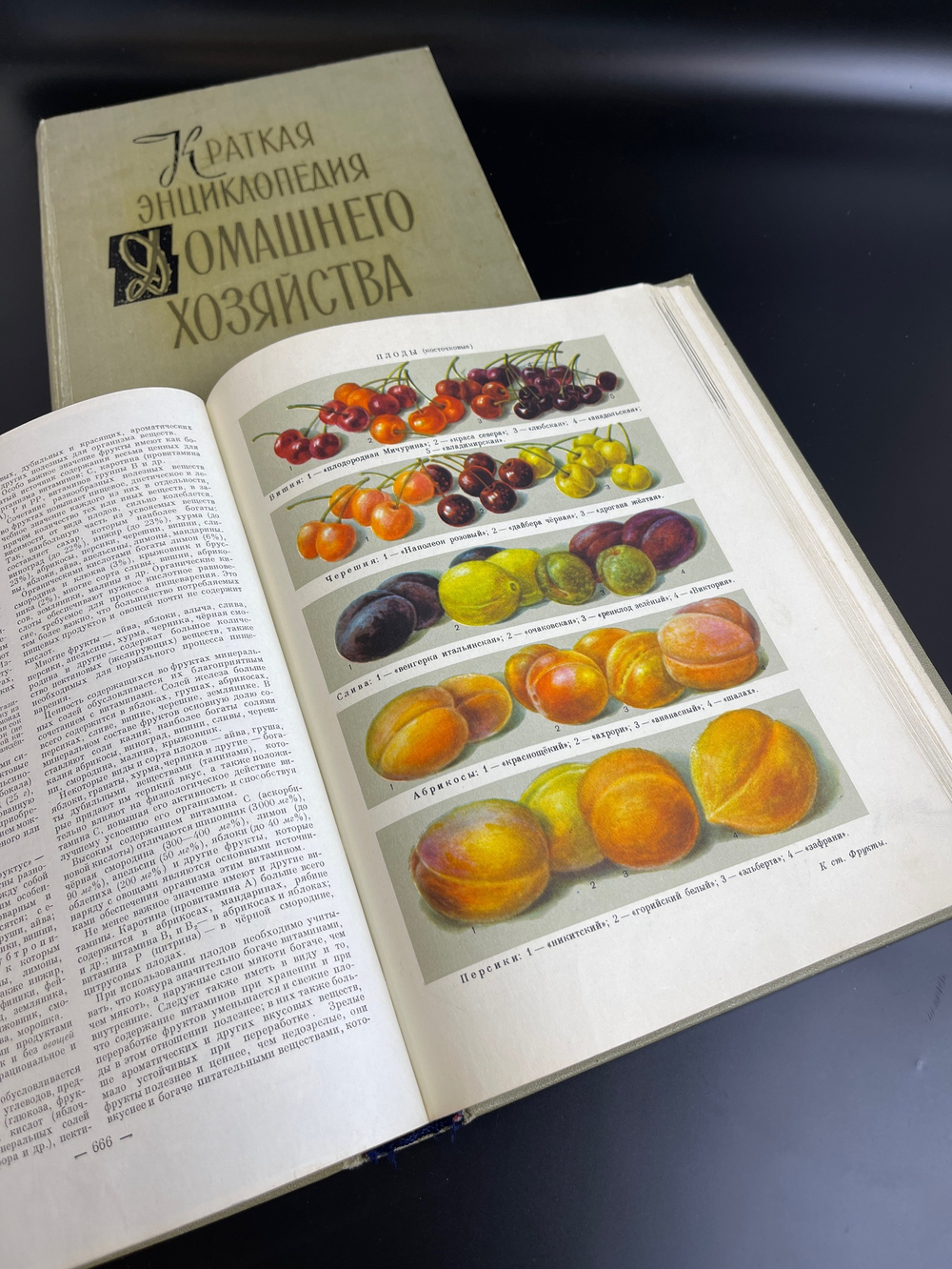 2 тома книги "Краткая энциклопедия домашнего хозяйства" 1960 год СССР . Бондаренко Власов Лифшиц