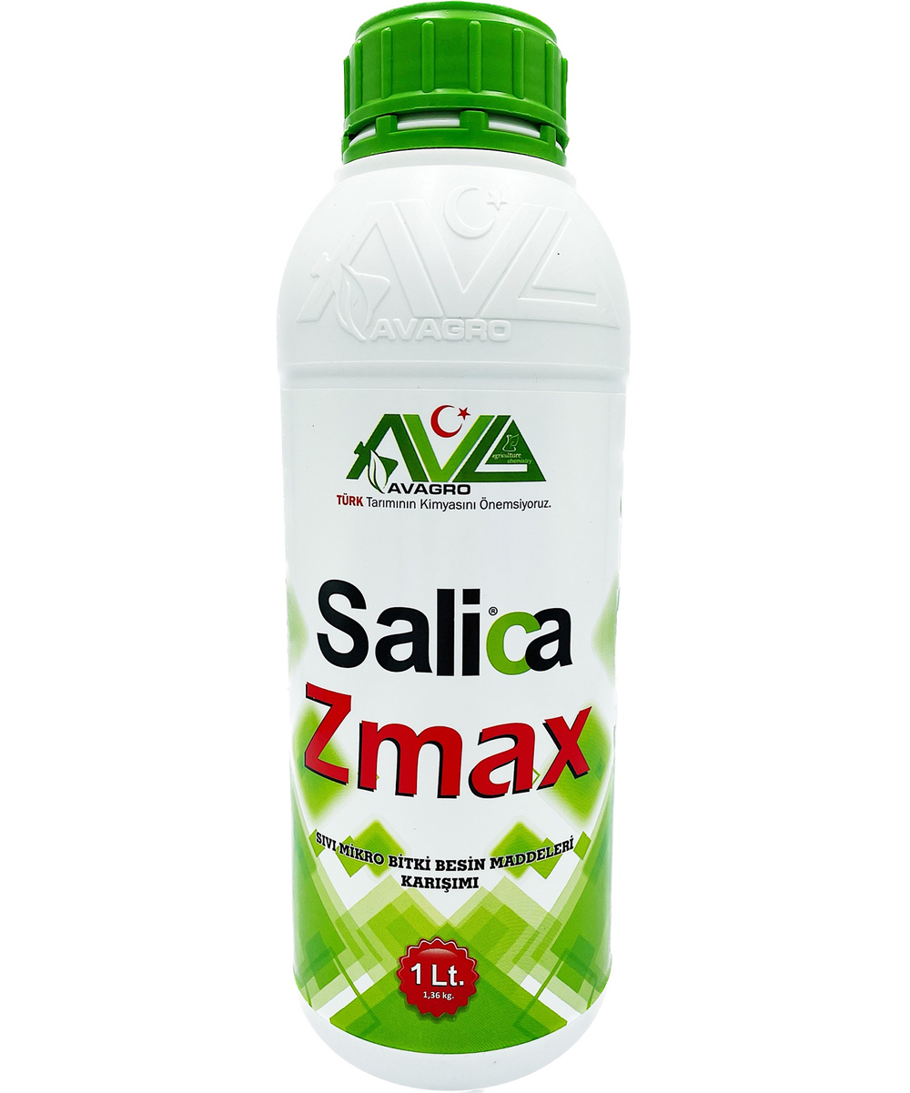 Salica zmax