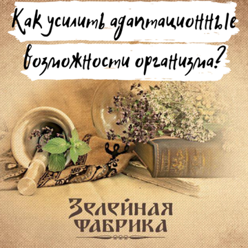 Адаптационный механизм — главный ключ к здоровью