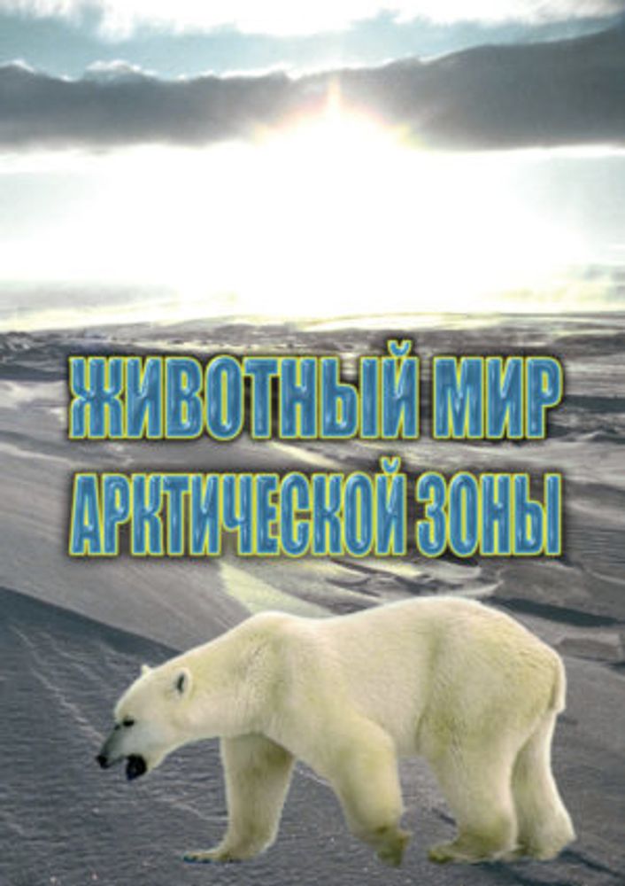 Учебный фильм География. Животный мир Арктической зоны.