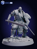 Стражи Света Миниатюры 10 шт. Dnd