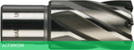 Фреза Milwaukee HSS D24х30мм (4932343280)
