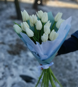 15 тюльпанов в упаковке