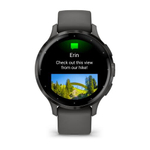 Смарт часы Garmin Venu 3S серый с темно-серым безелем