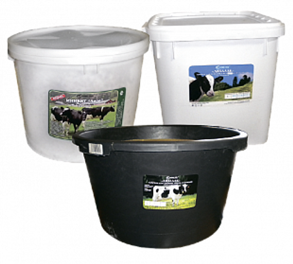 Лизалак Лизунец