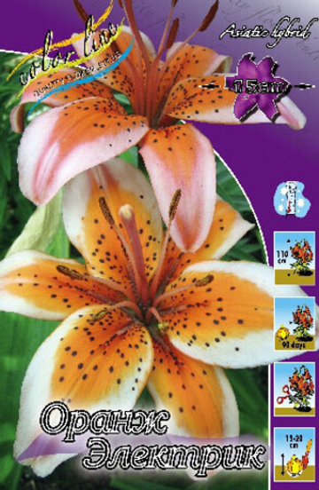 Лилия Оранж Электрик