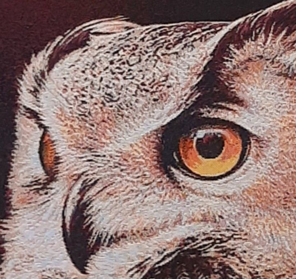 Декоративный гобеленовый чехол для интерьерной подушки Филин Феликс 47*47