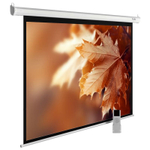 Экран  Cactus CS-PSME-300X188-WT