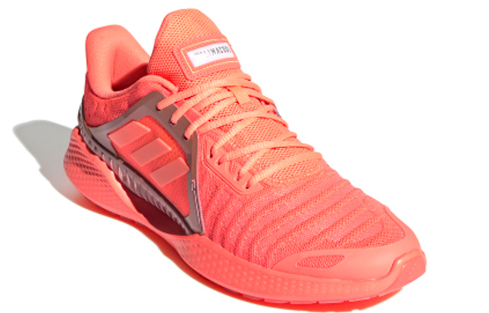 Кроссовки Adidas Climacool 2.0