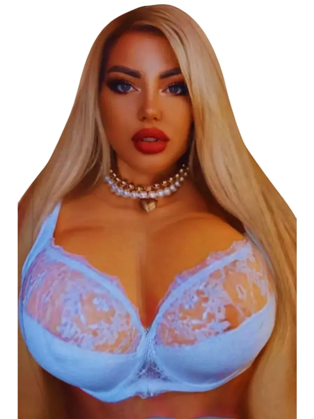 Франзуская модель бюстгальтера большие размеры EGH