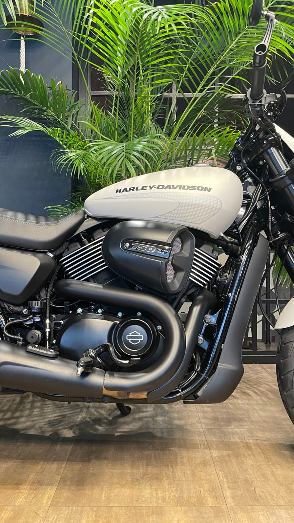 Harley-Davidson Street ROD 2017