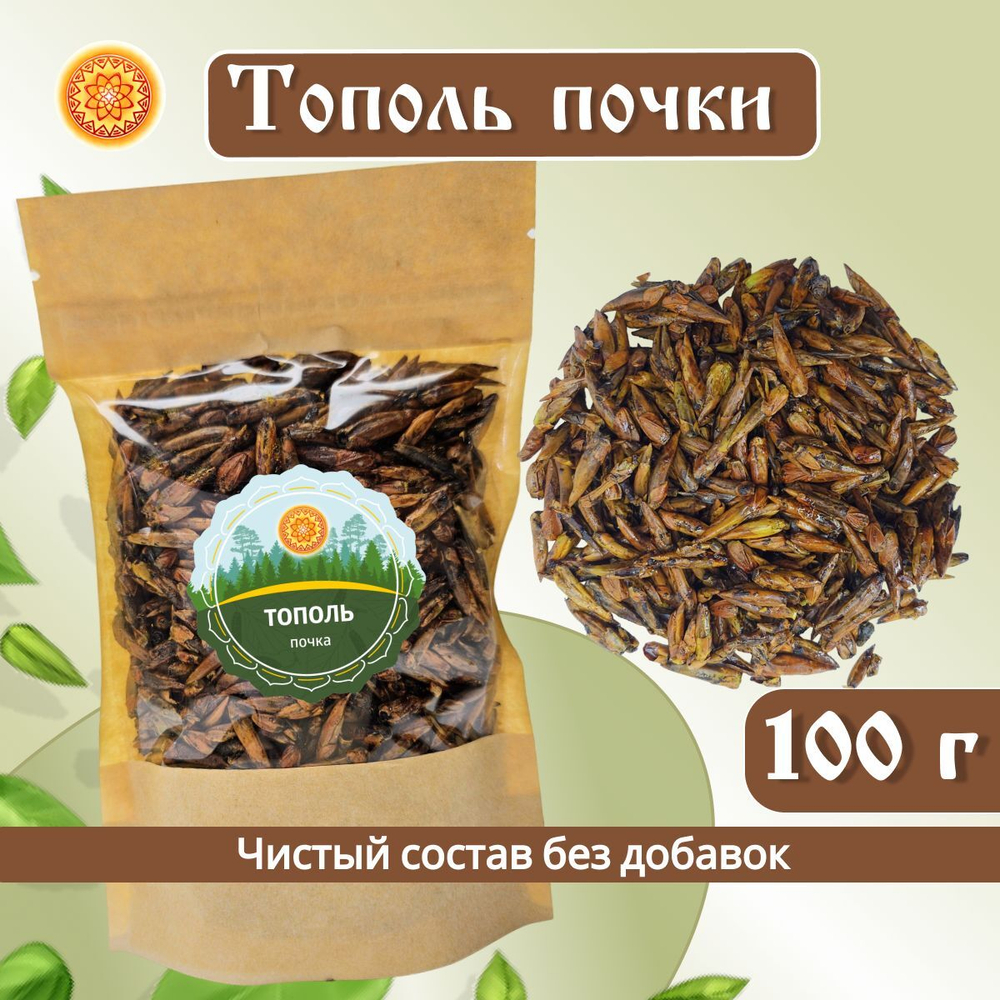 Тополь черный почки.