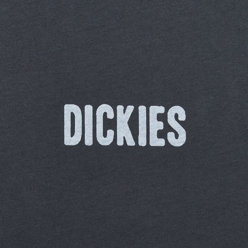 Футболка мужская Dickies Wolfhurst Short Sleeve Tee 