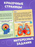 Наклейки «Как устроено моё тело», 16 стр