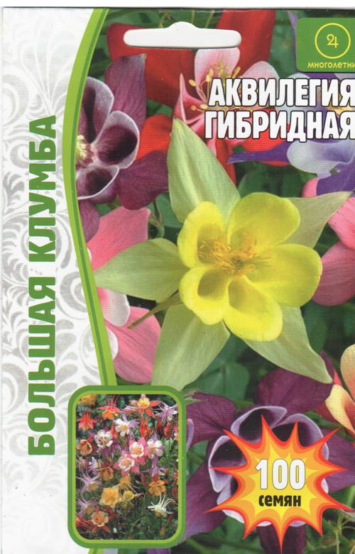 Аквилегия гибридная "Mckana giants" (mix)