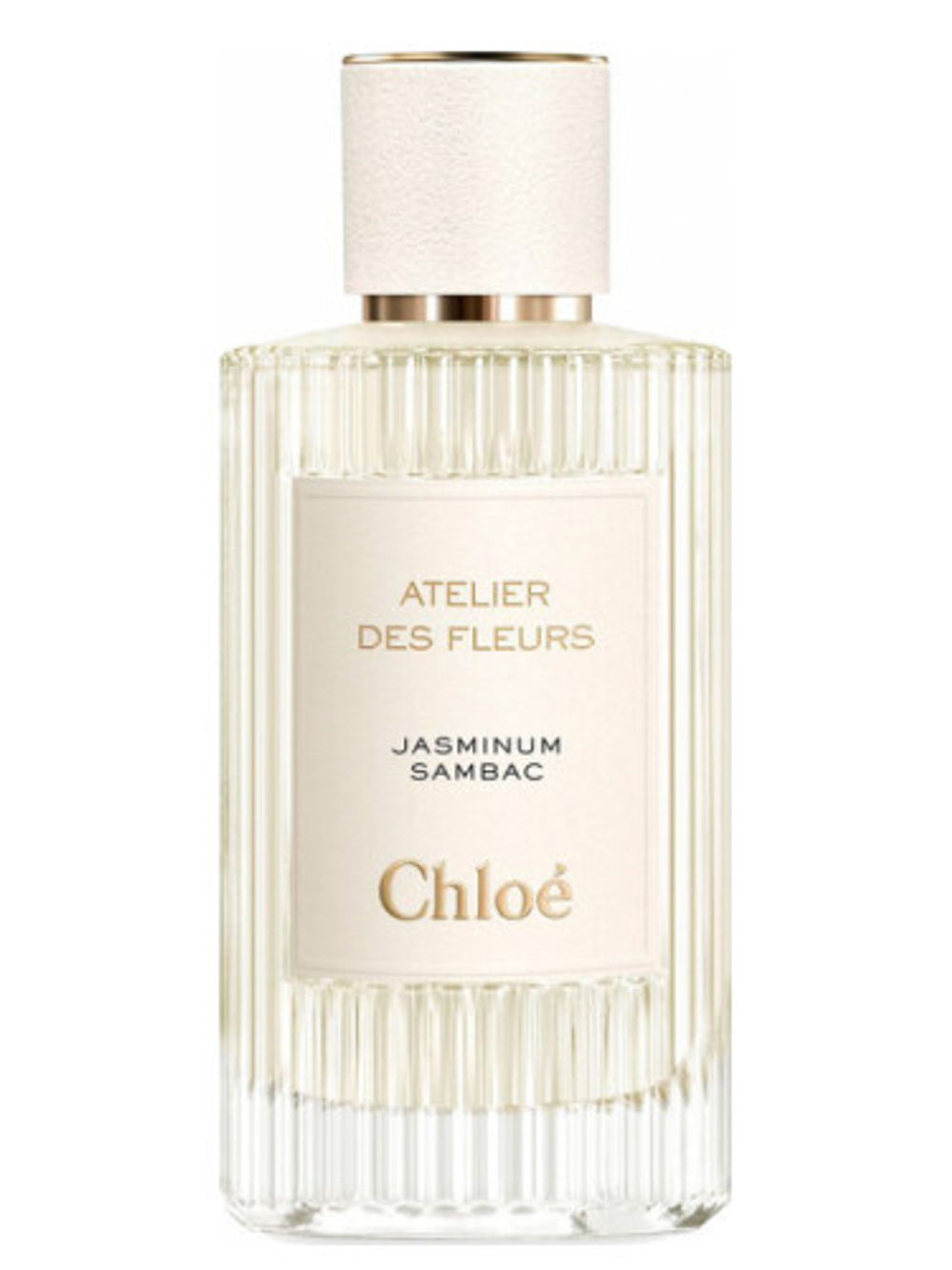 Chloé Jasminum Sambac
