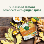 Traditional Medicinals, Organic Belly Comfort, лимон и имбирь, 30 леденцов в индивидуальной упаковке