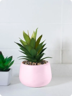 Аэрозольная краска в баллончике Elcon для мебели и декора, акриловая, быстросохнущая, 0.52 л, маршмеллоу