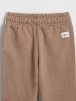 Штаны для мальчика спортивные с лампасами