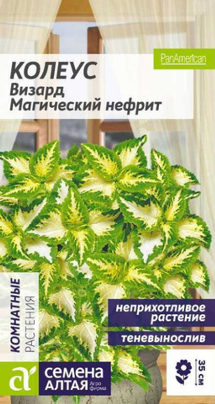 Колеус Визард Магический Нефрит (Семена Алтая)