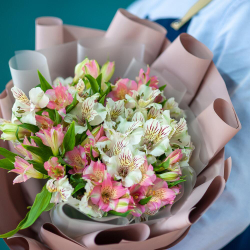 Букет из 15 альстромерий в упаковке