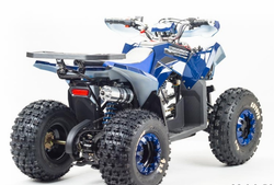 Квадроцикл MOTOLAND (МОТОЛЕНД) 125 COYOTE