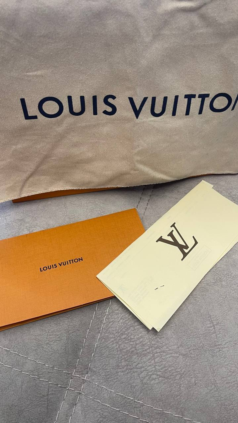 Сумка Louis Vuitton Vavin MM