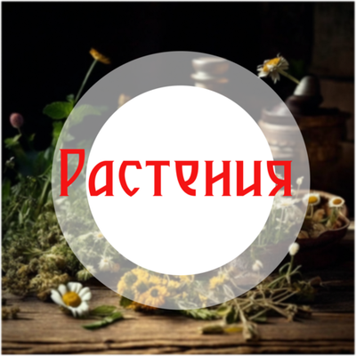 Растения