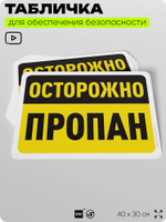 Табличка для обеспечения безопасности "Осторожно, пропан", для офиса, по охране труда для предприятия, организаций, 40х30 см, Silver Plane x Айдентика Технолоджи