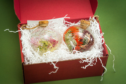 Набор Мужественный