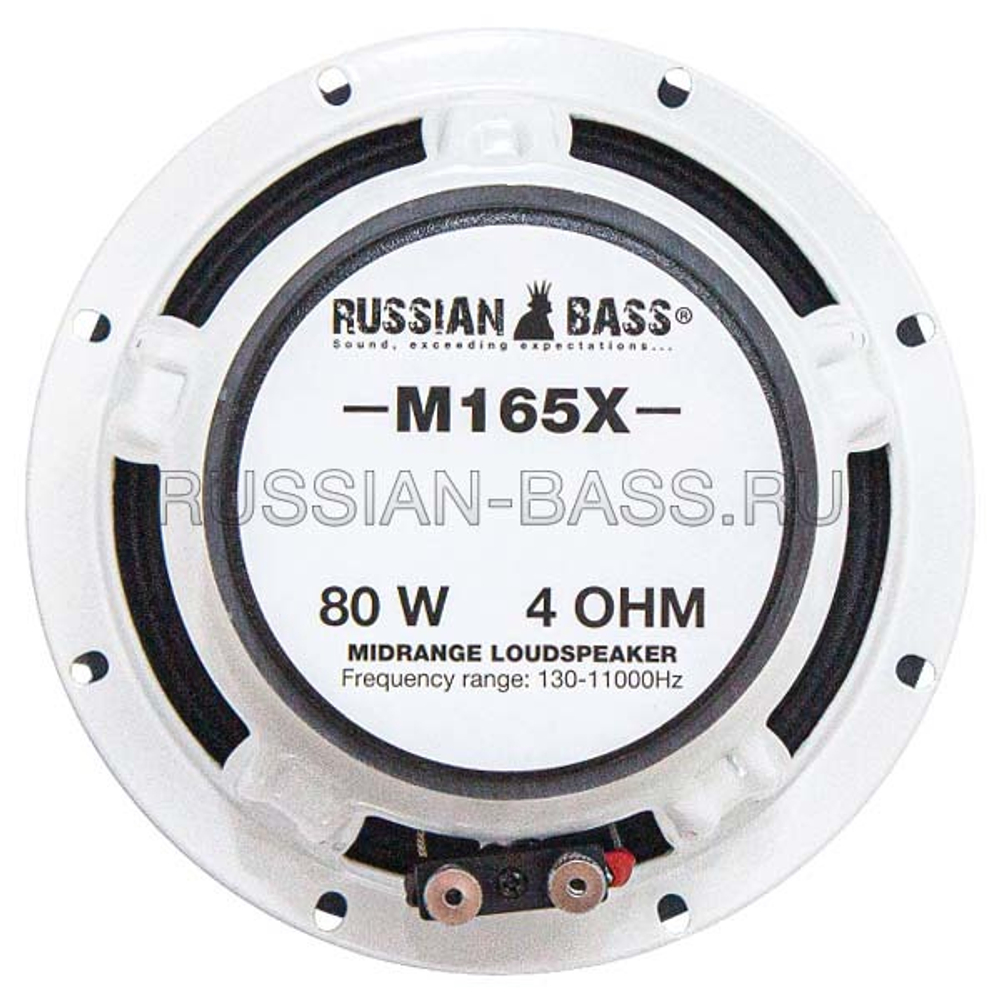 Среднечастотный динамик Russian Bass M165X - BUZZ Audio