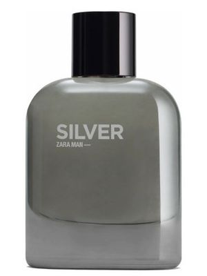 Zara Silver