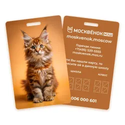 Карта Москвёнок CATS №4 (проход + питание)