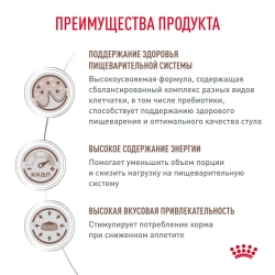 Royal canin gastrointestinal 85 г пауч ветеринарная диета для кошек при нарушении пищеварения, в период реабилитации и при истощении