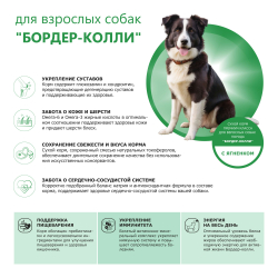 Корм сухой для взрослых собак породы Бордер-колли, с ягненком, 2.5 кг, QUATTRO