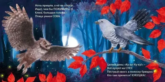 Книжки - картонки. Загадки - рифмы. Такие разные птицы