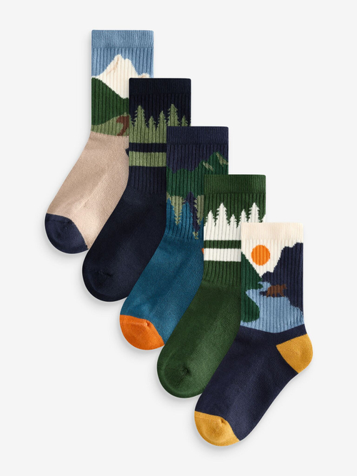 Носки хлопковые для мальчика Next E13-103, 5 шт., Синий, Зеленый, Бежевый