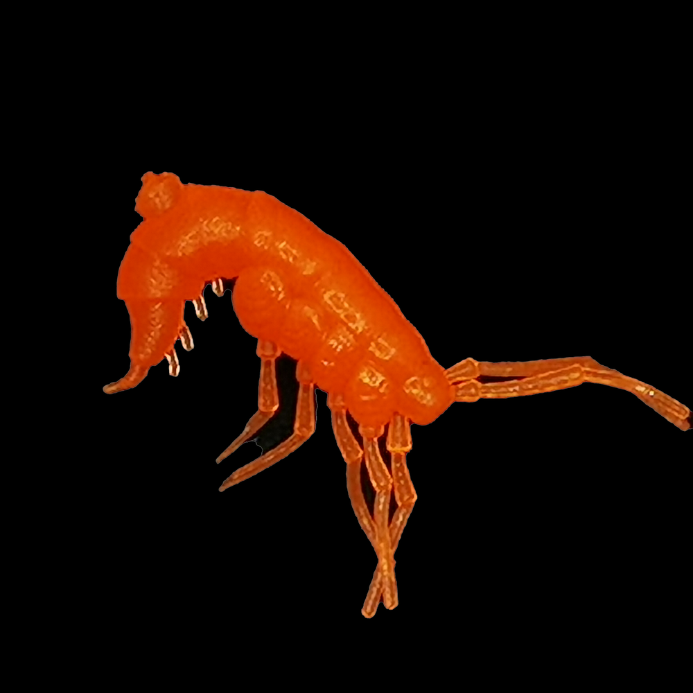 Рыболовные, силиконовые приманки. Рачки мормыш RuBaits Shrimp креветка. Набор для рыбалки на щуку, судака, окуня, форель. Зимняя рыбалка, микроджиг.
