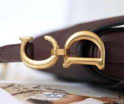 Christian Dior Saddle Bag 21 cm