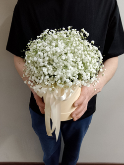 Трендовая гипсофила в разноцветной гамме (КМ0001)