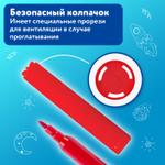 Фломастеры BRAUBERG "АКАДЕМИЯ" 12 цветов вентилируемый колпачок ПВХ упаковка (6 штук в упаковке)