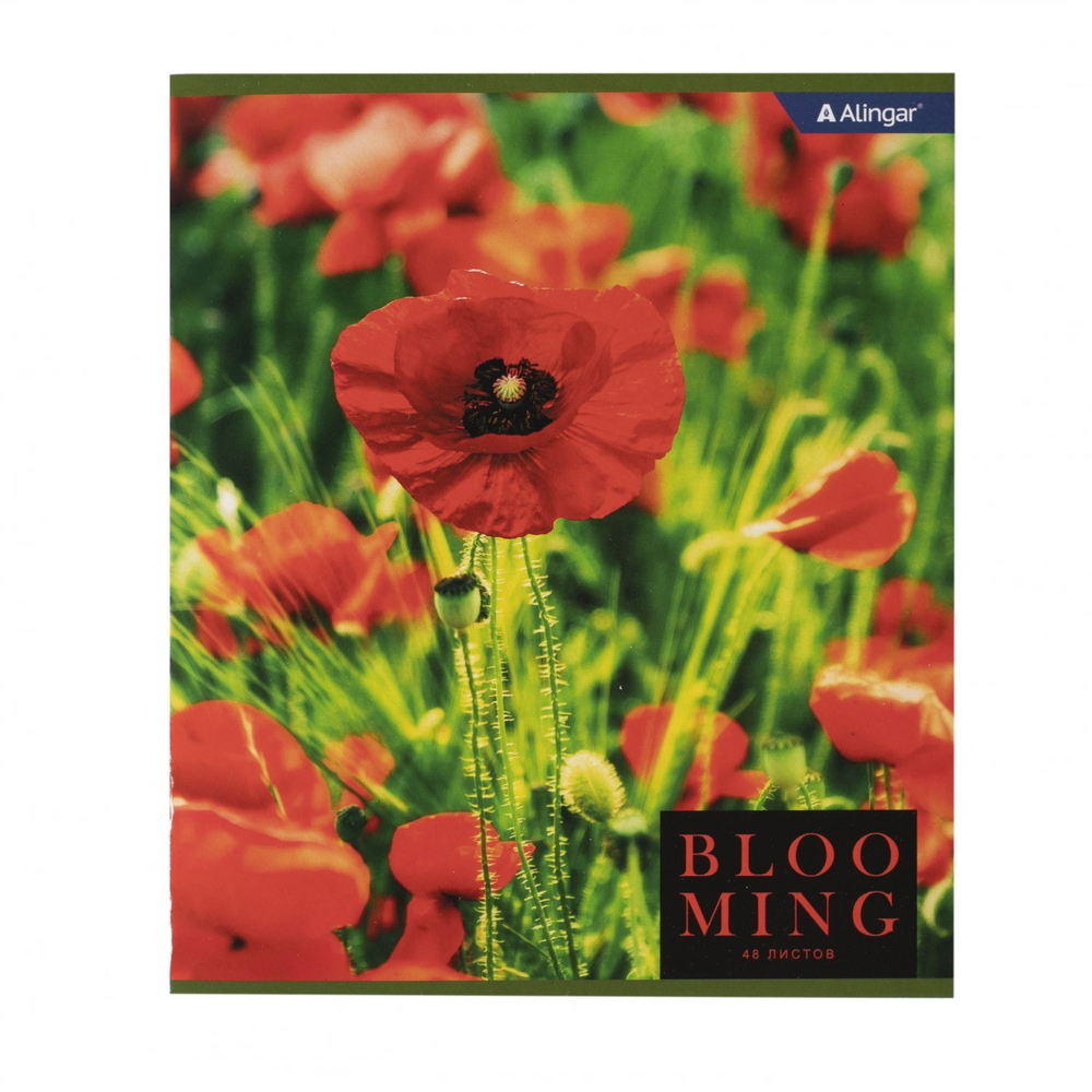 Тетрадь 48л., А5, клетка, Alingar "Blooming", скрепка, мелованный картон (стандарт), блок офсет, 4 дизайна в пленке т/у