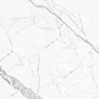 Porcelanosa Baltic Brilo Pav. 59.6x59.6