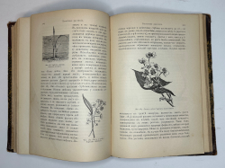 Гесдерфер М. Комнатное садоводство. СПб. Изд. Девриена, 1898г.