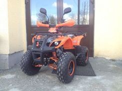 Квадроцикл ATV Termit Libre