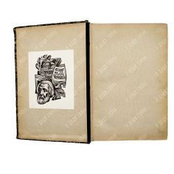 Фаге Э. История французской литературы : иллюстрированная французская литература : XIX век, 1901.