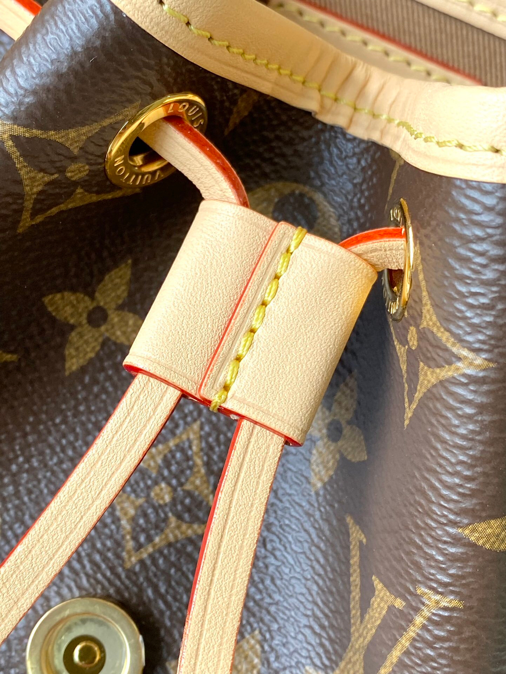 Louis Vuitton Montsouris Mini